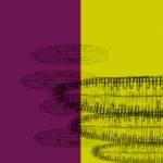 banner de la exposición CO DEVENIR NARRATIVAS PARA FUTUROS POSIBLES TEMUCO CHILE, 2024