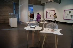 Obra de la exposición CO DEVENIR NARRATIVAS PARA FUTUROS POSIBLES TEMUCO CHILE, 2024